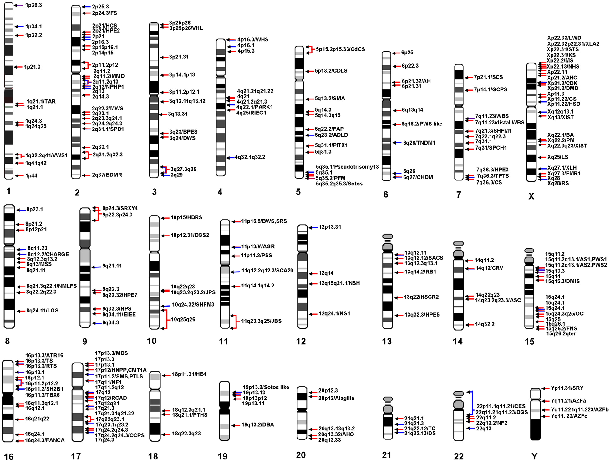 Sindromes de microdelección y microduplicación