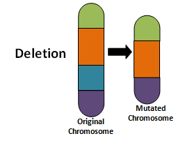 Decipher Genome Browser