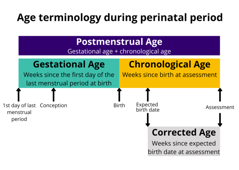 Edad corregida y prematuridad.